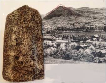 Fig_12.jpg Fig_12.jpg