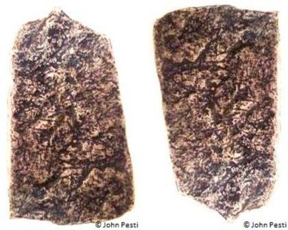 Fig_18_and_Fig_19.jpg Fig_18_and_Fig_19.jpg