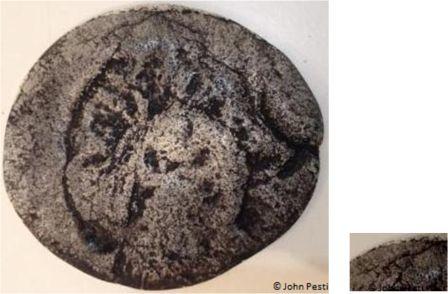 Fig_4_and_Fig_5.jpg Fig_4_and_Fig_5.jpg