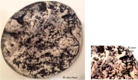 Fig_7_and_Fig_8.jpg Fig_7_and_Fig_8.jpg